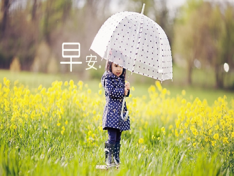 试管移植了有点腹胀，试管花瓶造型木条